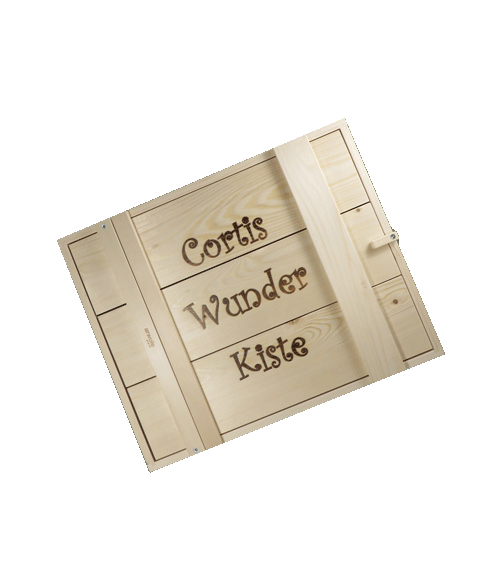 Geschenk- Box (Holz 6er)